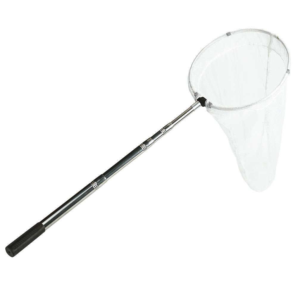 RESTCLOUD Insect & Butterfly Net — 12-Inch Ring, 24-Inch Depth, Telescoping 38-Inch Handle