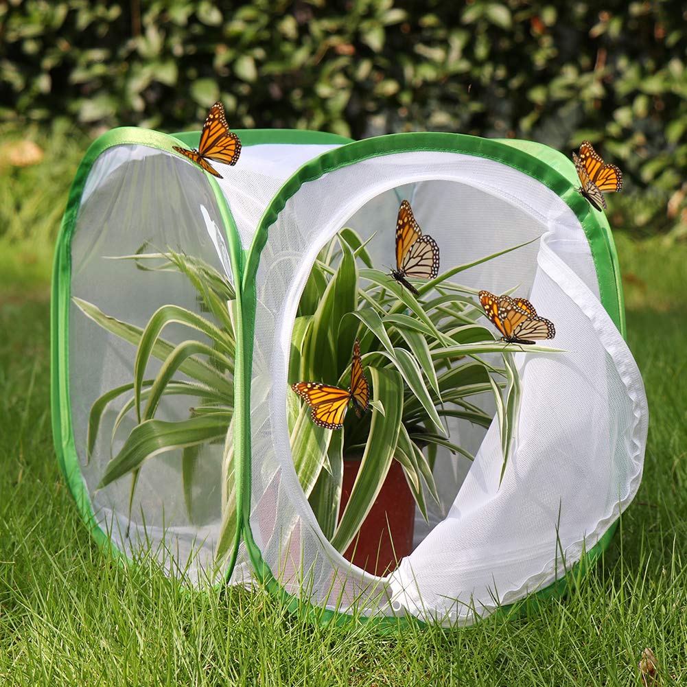 RESTCLOUD Insect & Butterfly Habitat Cage Terrarium – Pop-Up 12x12x12 in