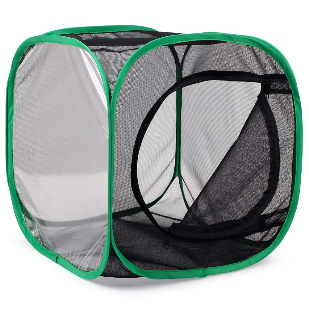 RESTCLOUD Insect and Butterfly Habitat Cage Terrarium – Pop-Up 12 x 12 x 12 Inches