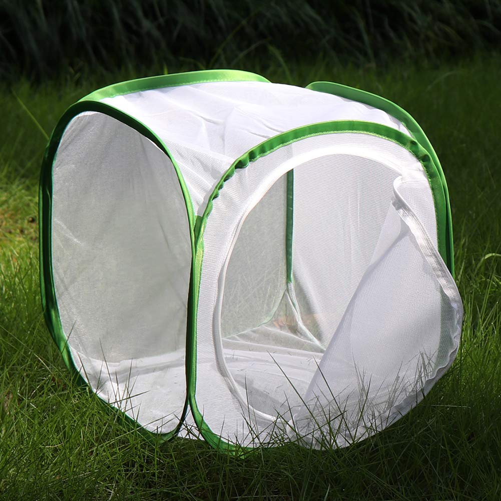RESTCLOUD Insect & Butterfly Habitat Cage Terrarium – Pop-Up 12x12x12 in