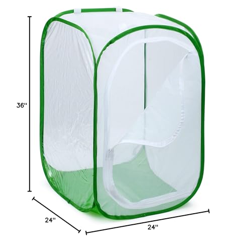 RESTCLOUD 36-Inch Monarch Butterfly Habitat – Giant Collapsible Mesh Cage 24x24x36