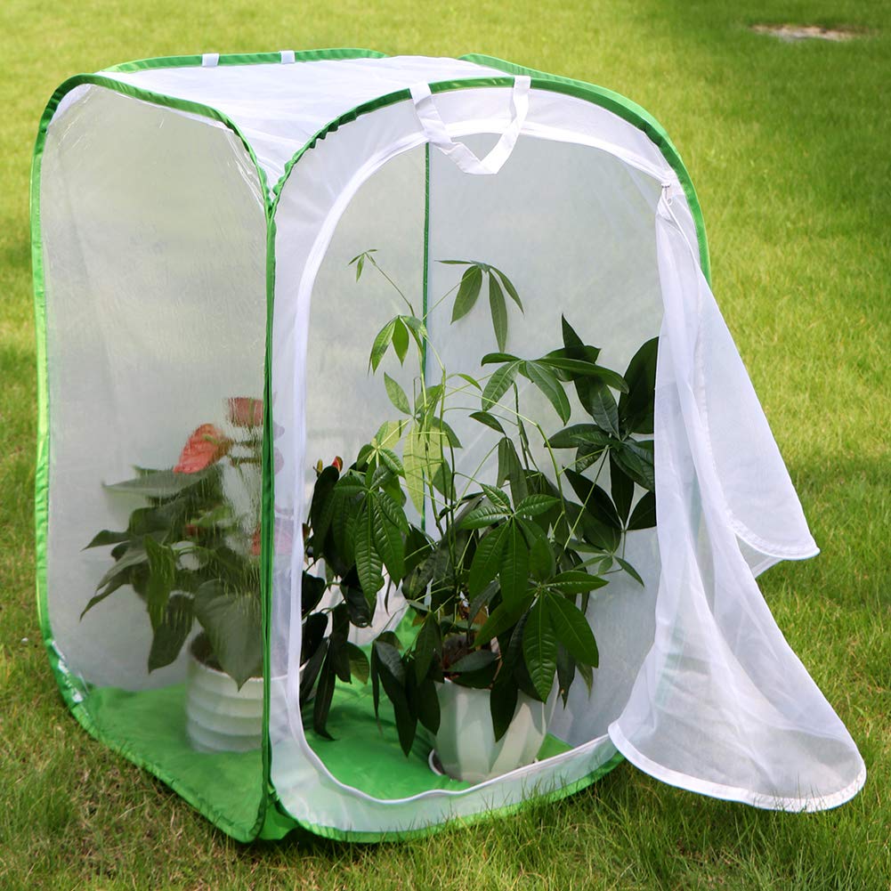 RESTCLOUD 36-Inch Monarch Butterfly Habitat – Giant Collapsible Mesh Cage 24x24x36