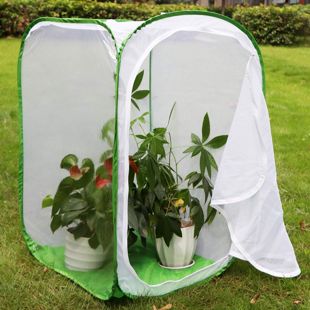 RESTCLOUD 36-Inch Monarch Butterfly Habitat – Giant Collapsible Mesh Cage 24x24x36