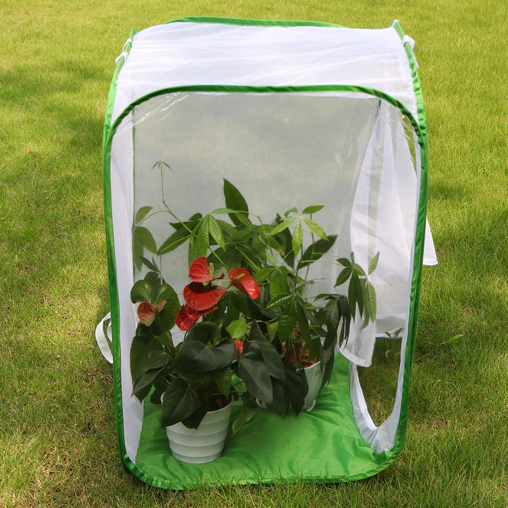 RESTCLOUD 36-Inch Monarch Butterfly Habitat – Giant Collapsible Mesh Cage 24x24x36