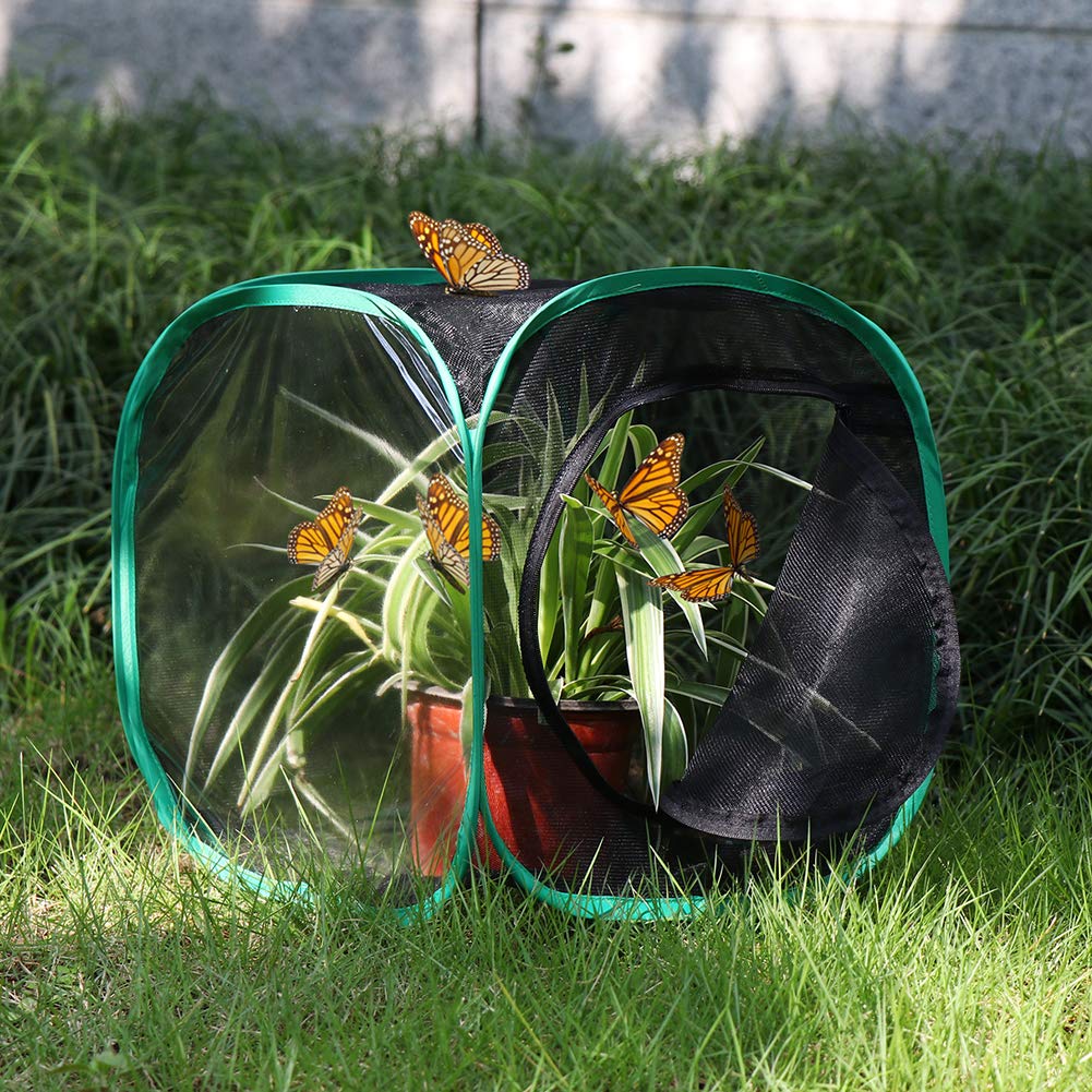 RESTCLOUD Insect and Butterfly Habitat Cage Terrarium – Pop-Up 12 x 12 x 12 Inches