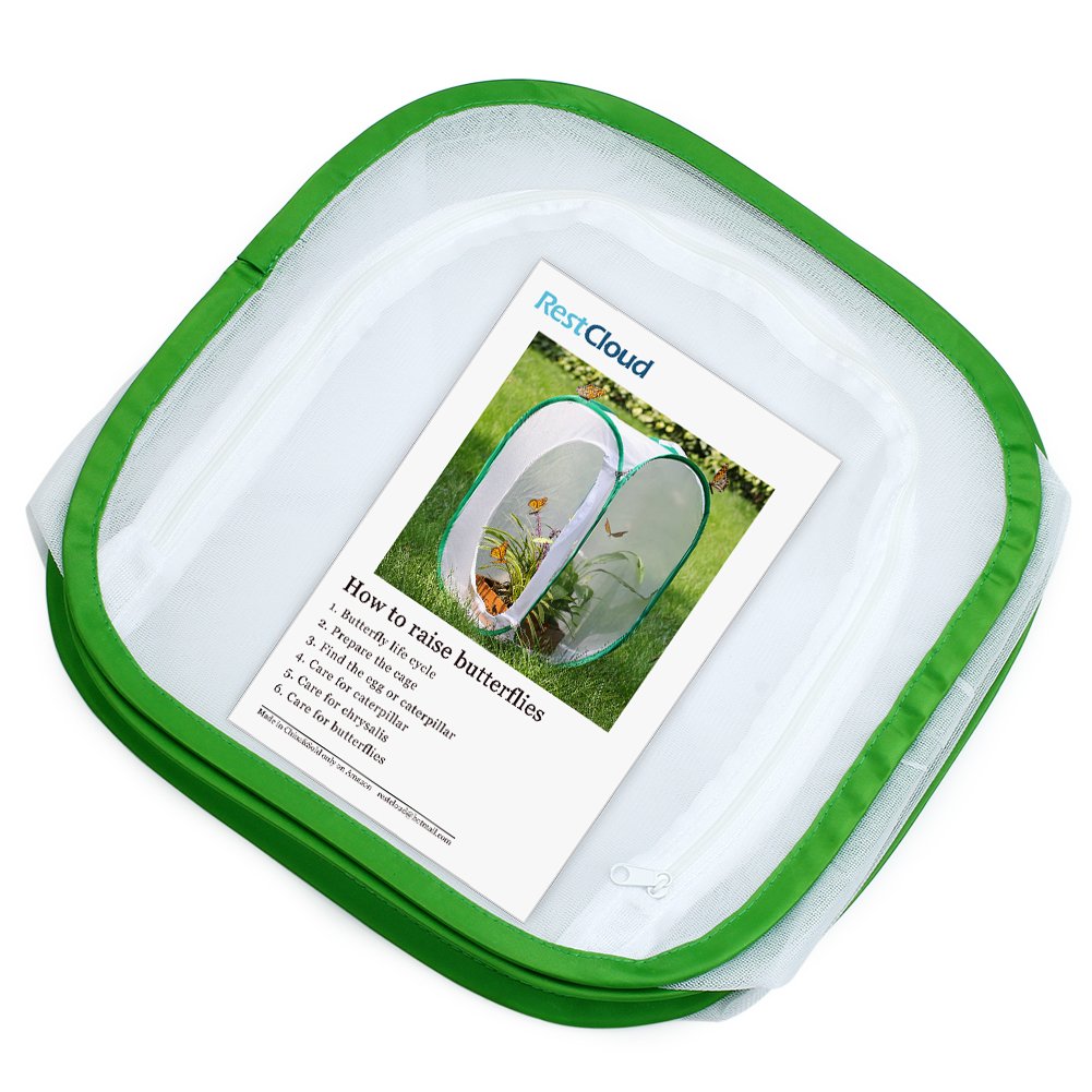 RESTCLOUD Insect & Butterfly Habitat Cage Terrarium – Pop-Up 12x12x12 in