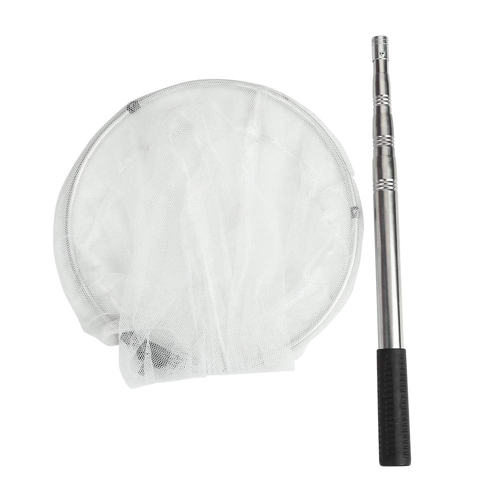 RESTCLOUD Insect & Butterfly Net — 12-Inch Ring, 24-Inch Depth, Telescoping 38-Inch Handle