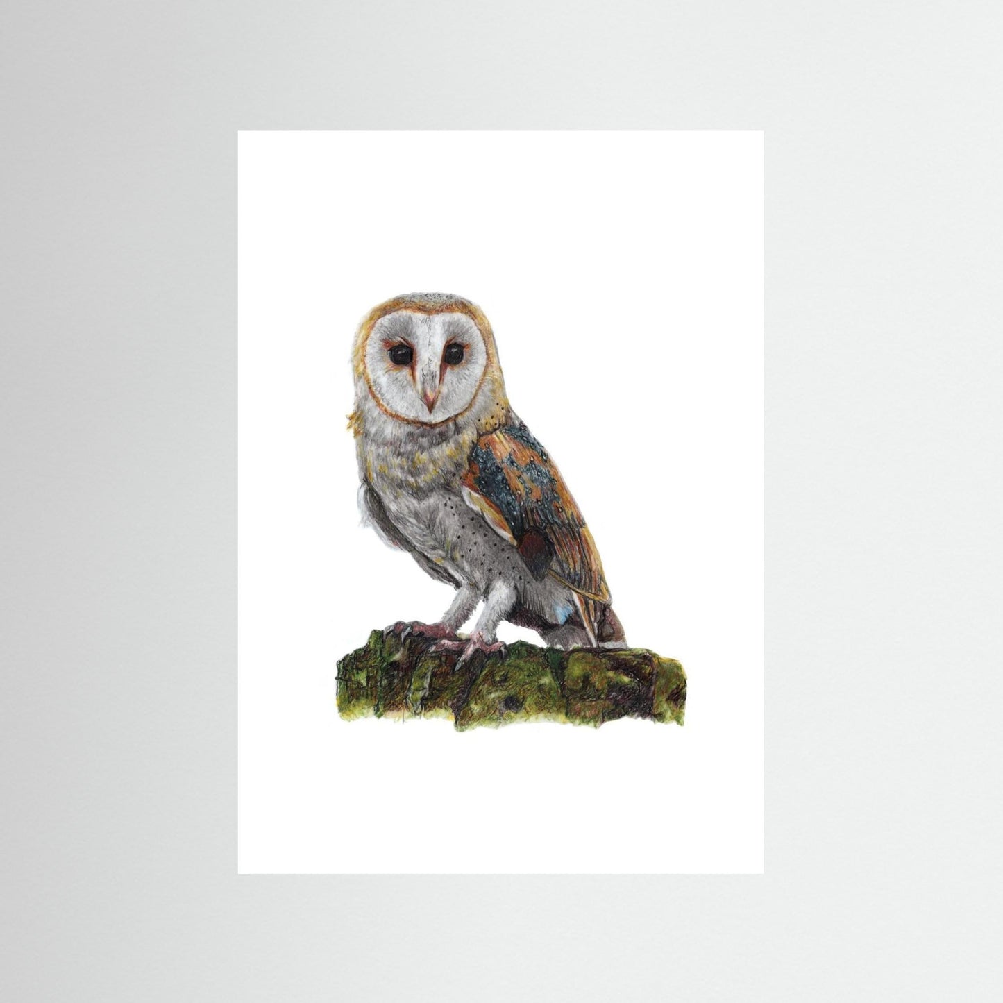 Barn Owl Wildlife Framed Art Print | British Bird Wall Art