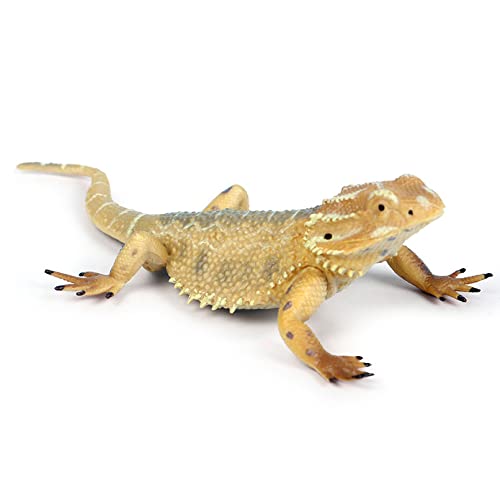 Rich Boxer 5'' Lizard Figurine – Home Decor & Gift for Reptile Lovers