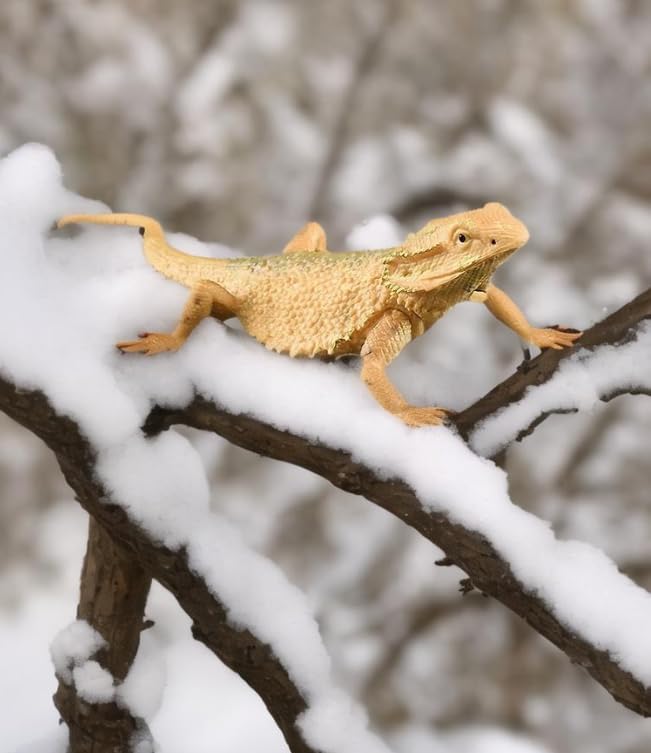 Rich Boxer 5'' Lizard Figurine – Home Decor & Gift for Reptile Lovers