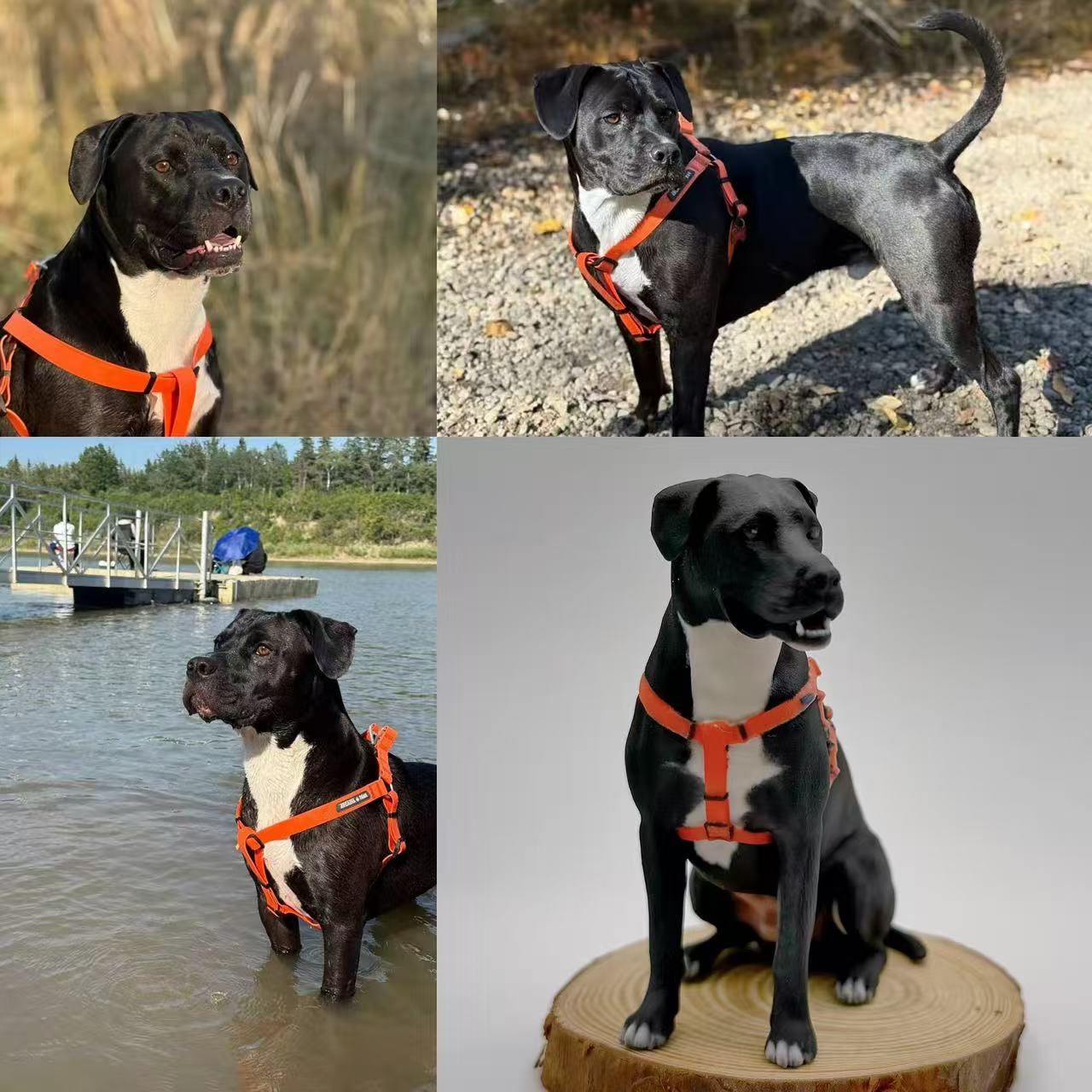 Custom Pet Sculpture Order | Handcrafted Dog & Cat Keepsake | Upload Your Photos
