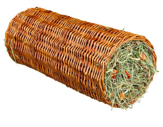Stuffed Willow Tunnel