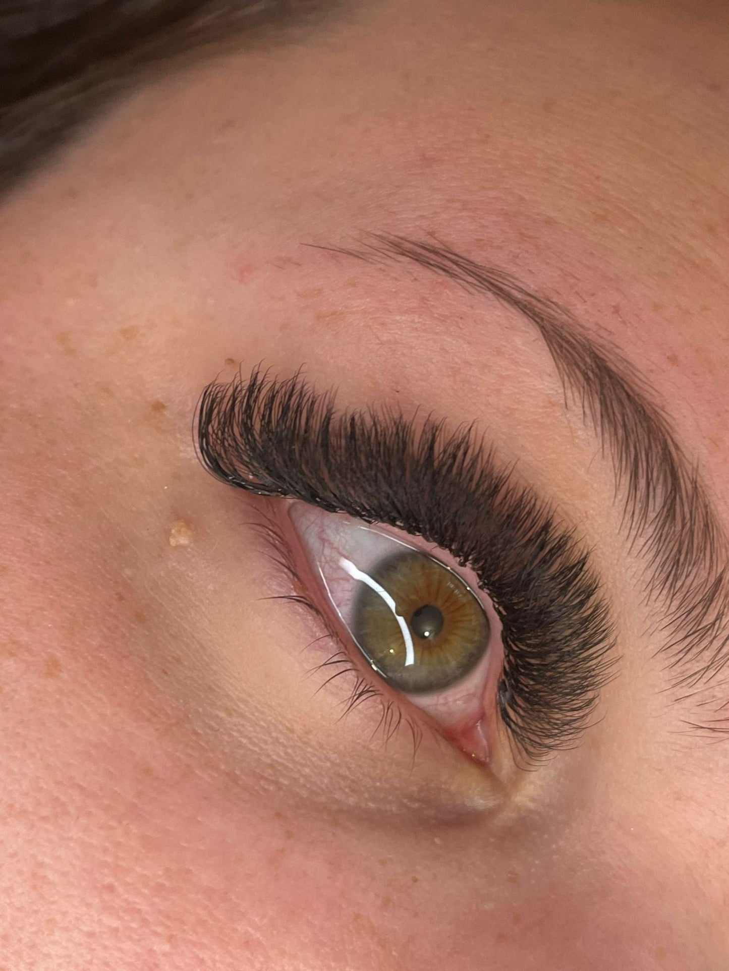 8D Clover Lash Mixed Tray (16 Rows)