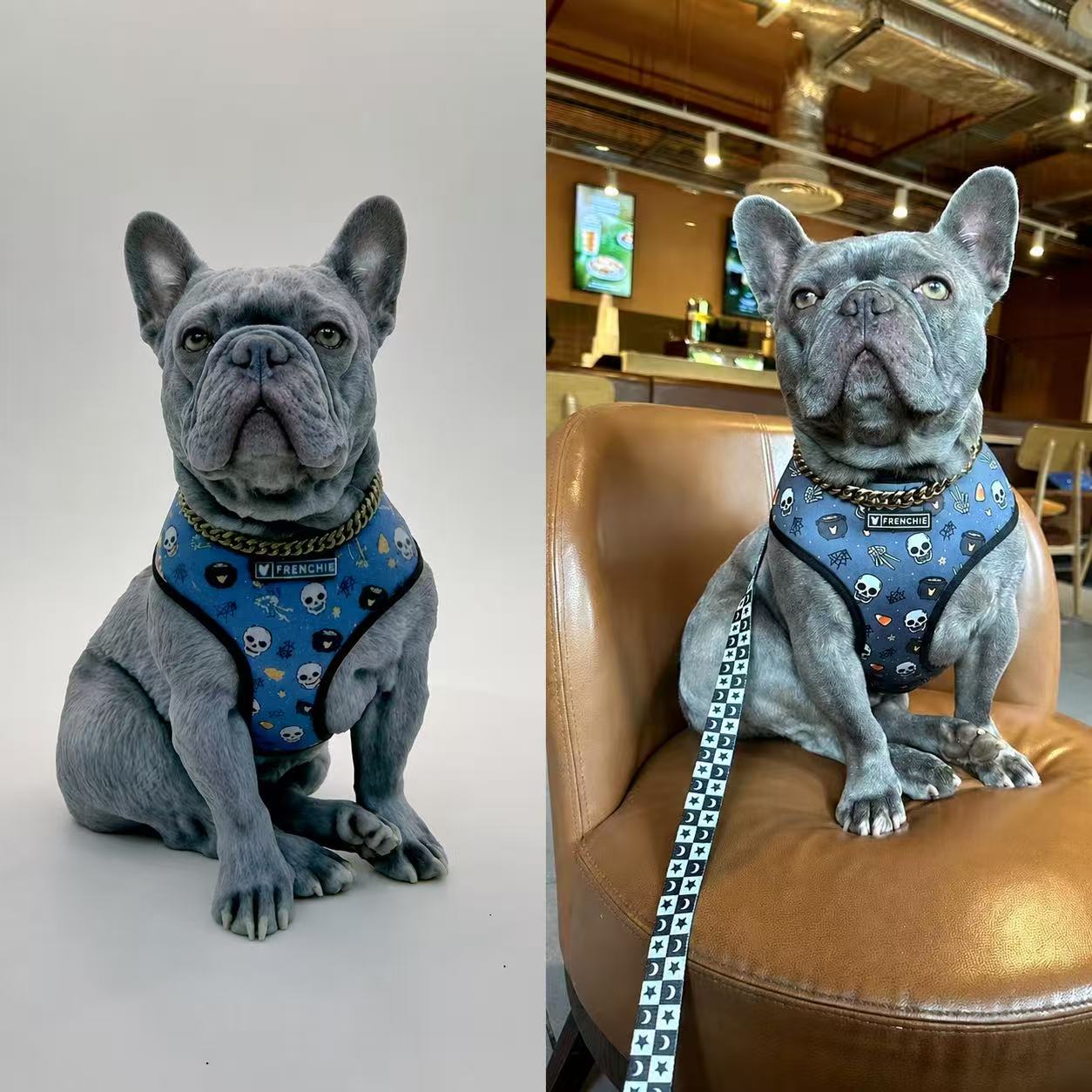 Custom Pet Sculpture Order | Handcrafted Dog & Cat Keepsake | Upload Your Photos