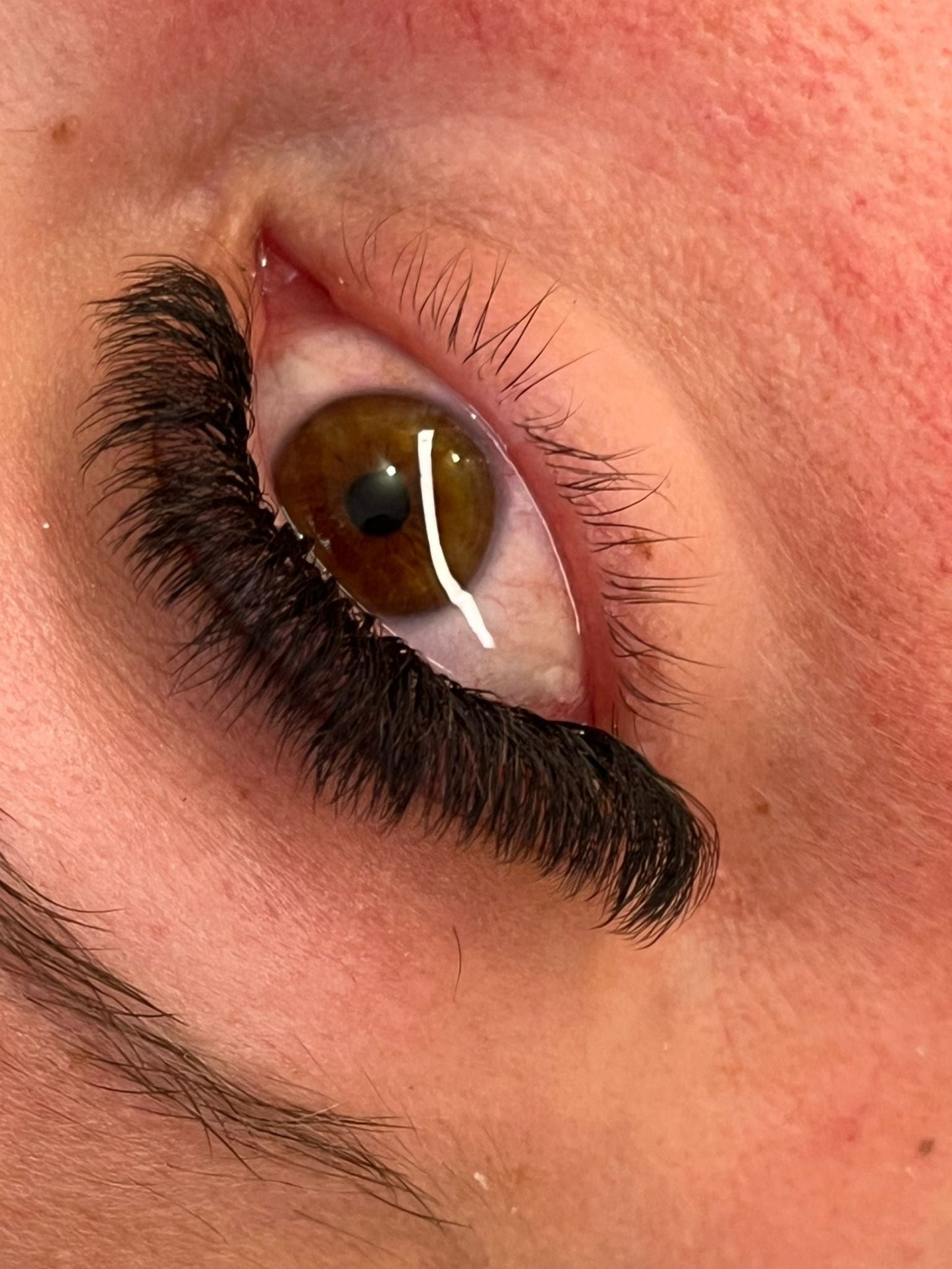 Sample Tray 8D Clover Lash
