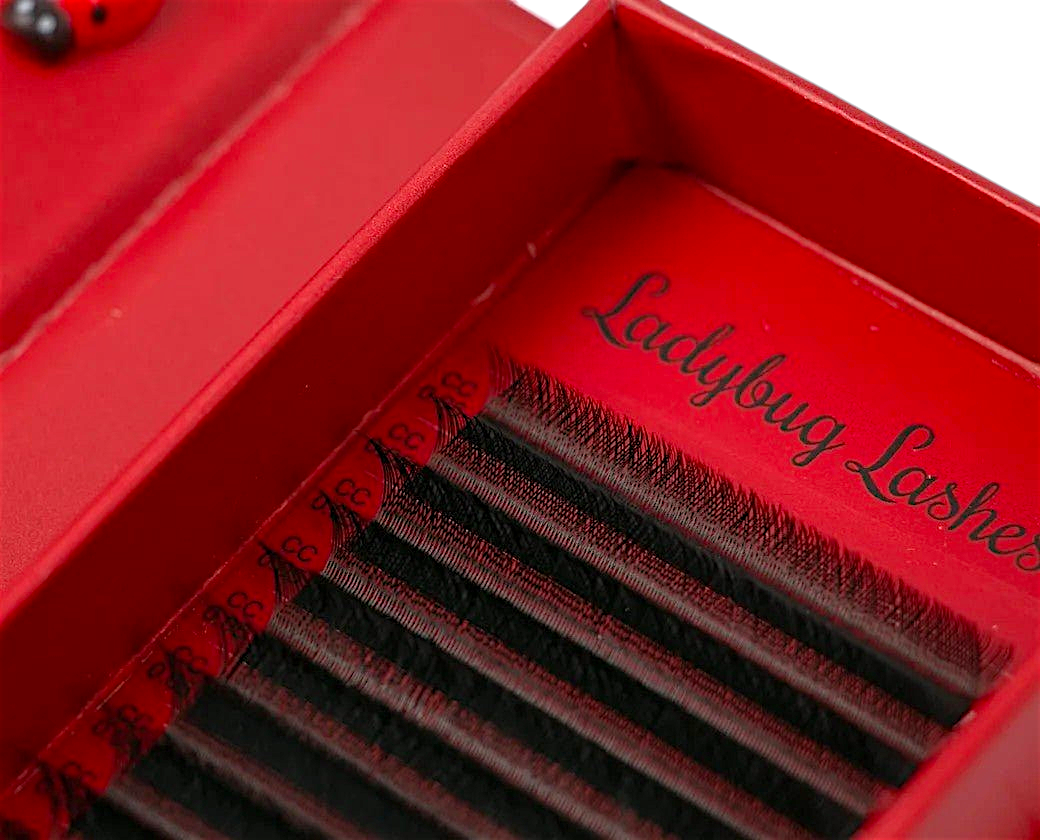 YY Lash Tray Single Length