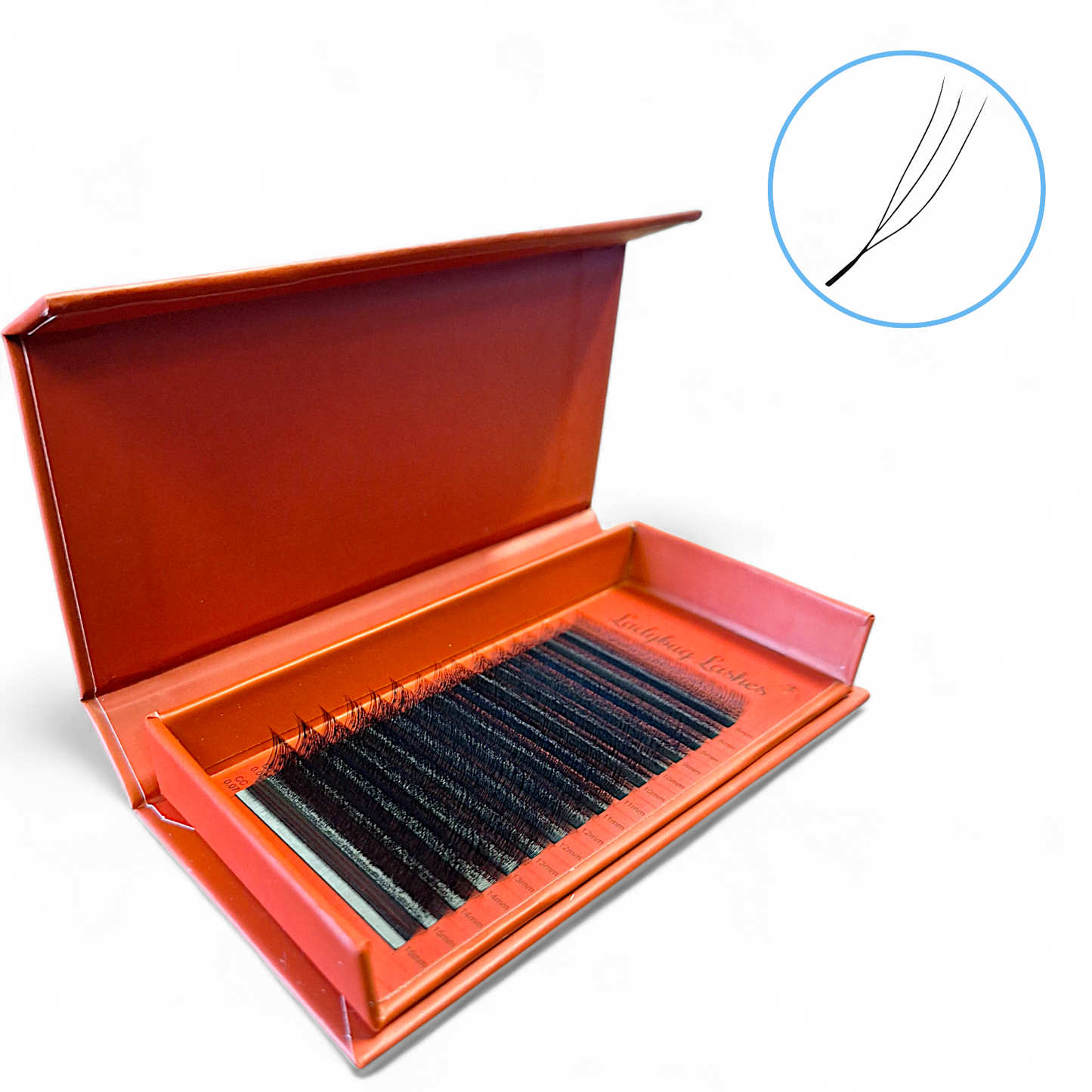 U Lashes Collection