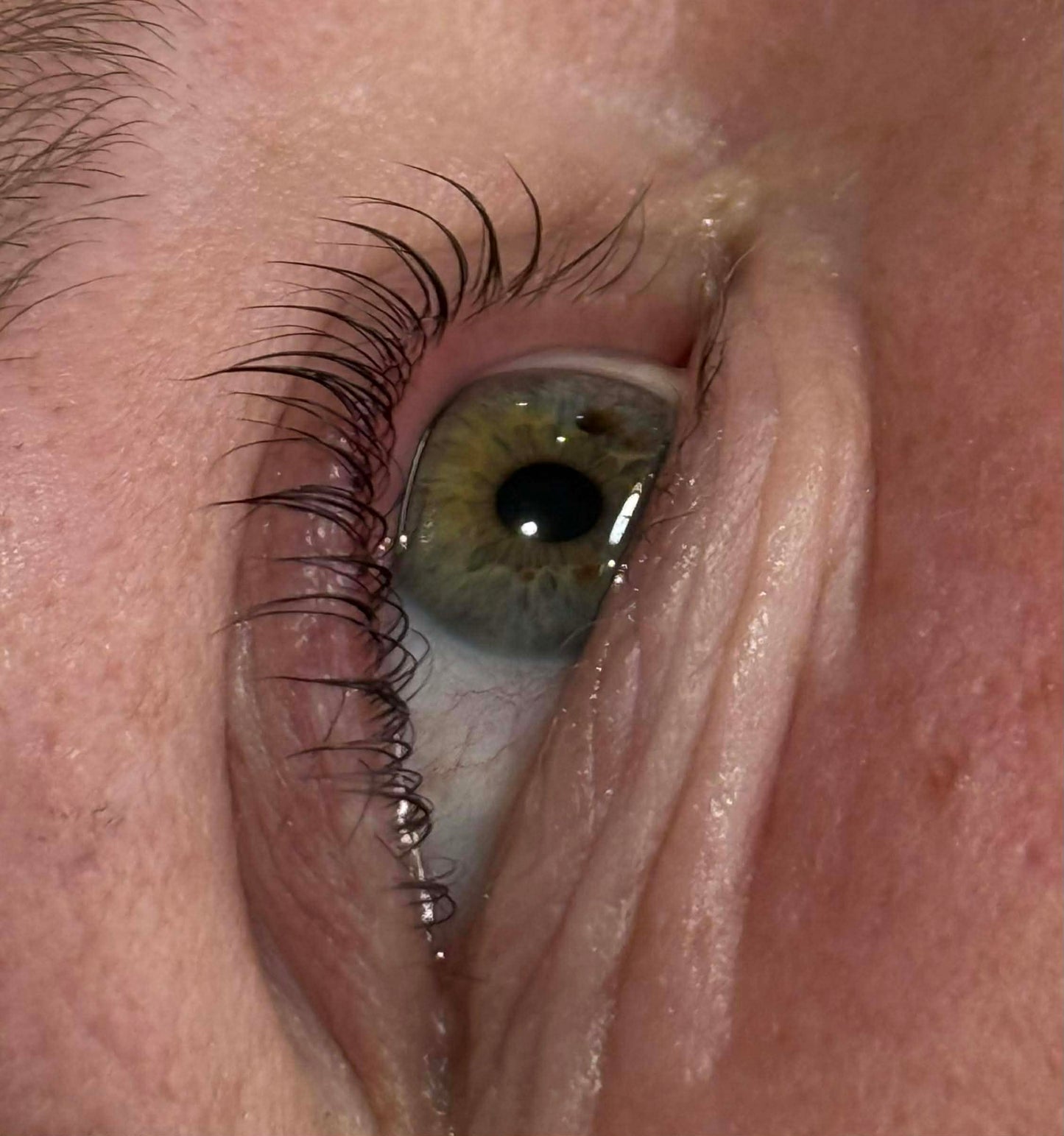 Airless Pump Express Cysteamine Lash Lift Kit