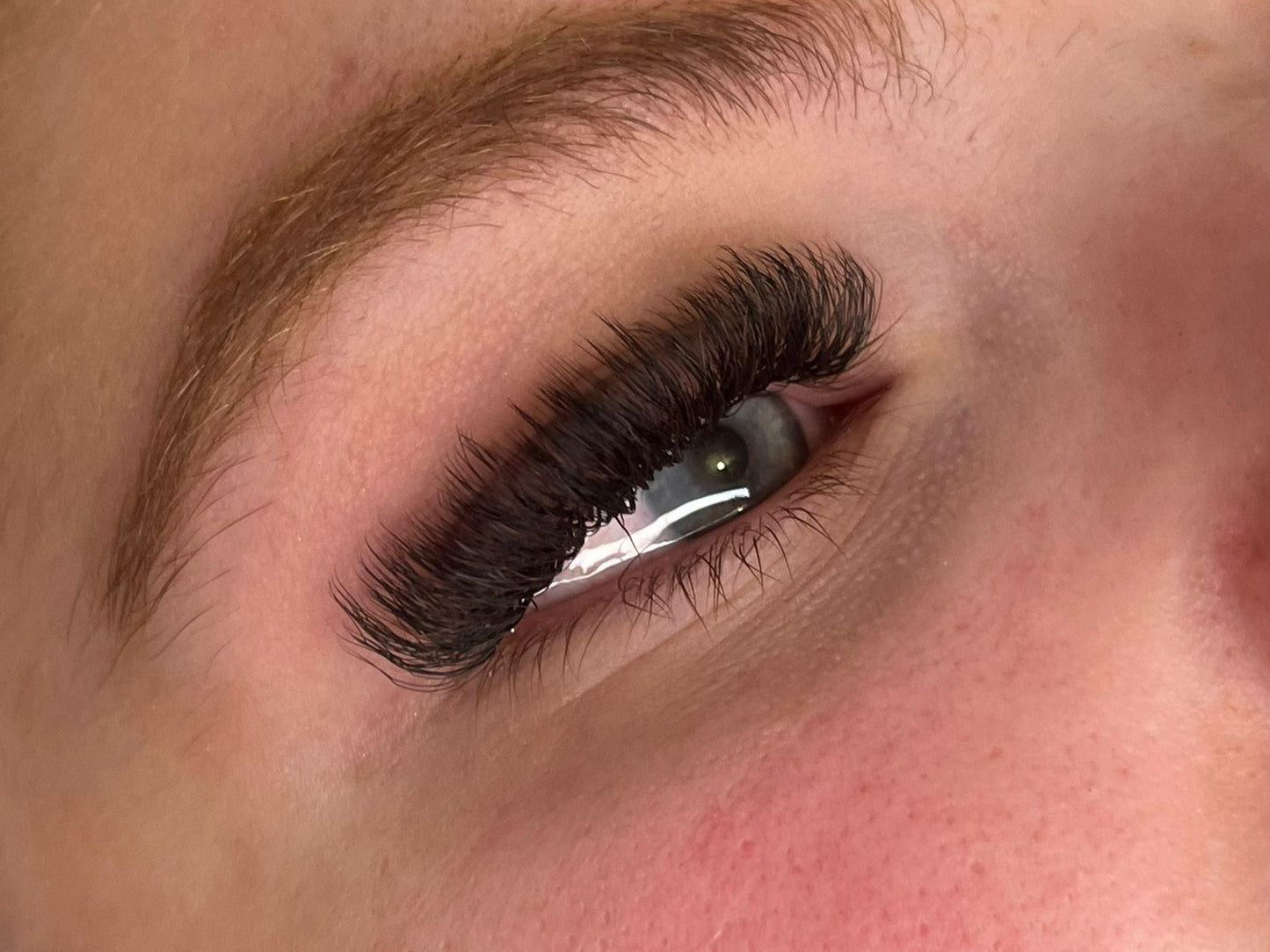 U Lashes Collection