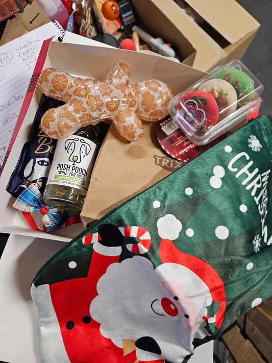 Dog Christmas Eve Box