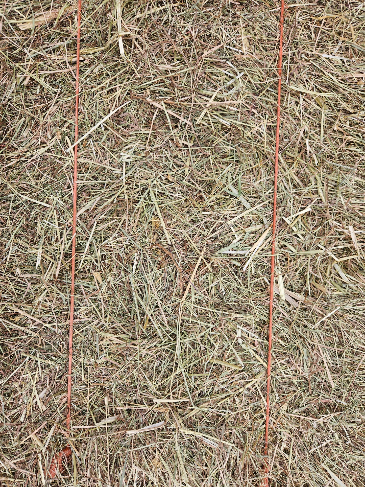 Meadow Hay Bale - The North East Pet Shop