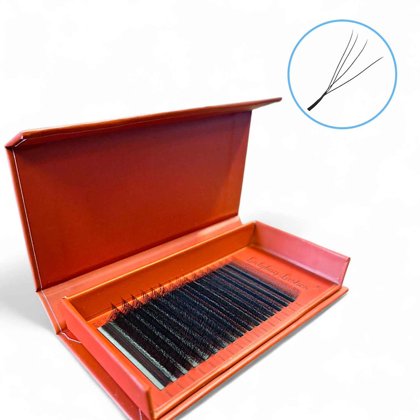U Lashes Collection