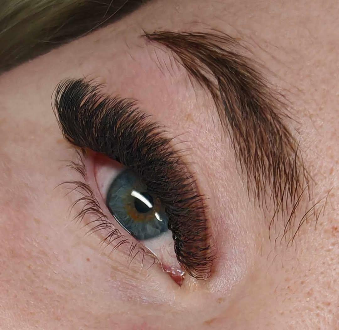 8D Clover Lash Mixed Tray (16 Rows)