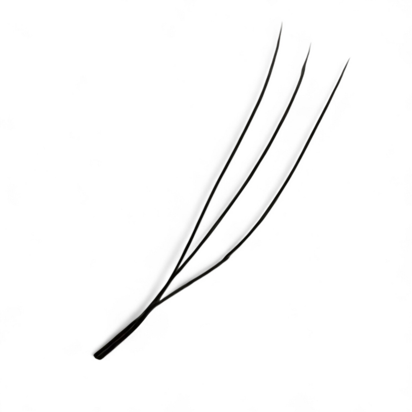 U Lashes Collection