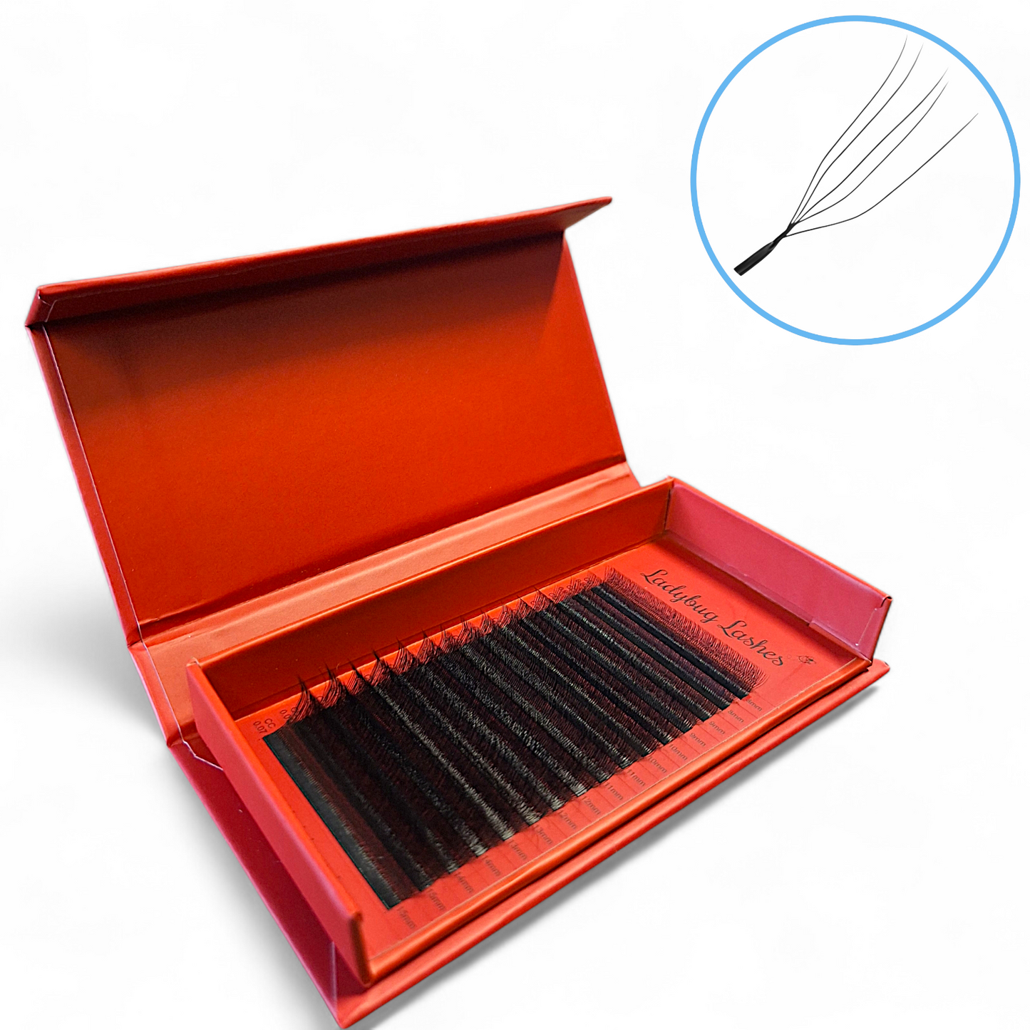 U Lashes Collection