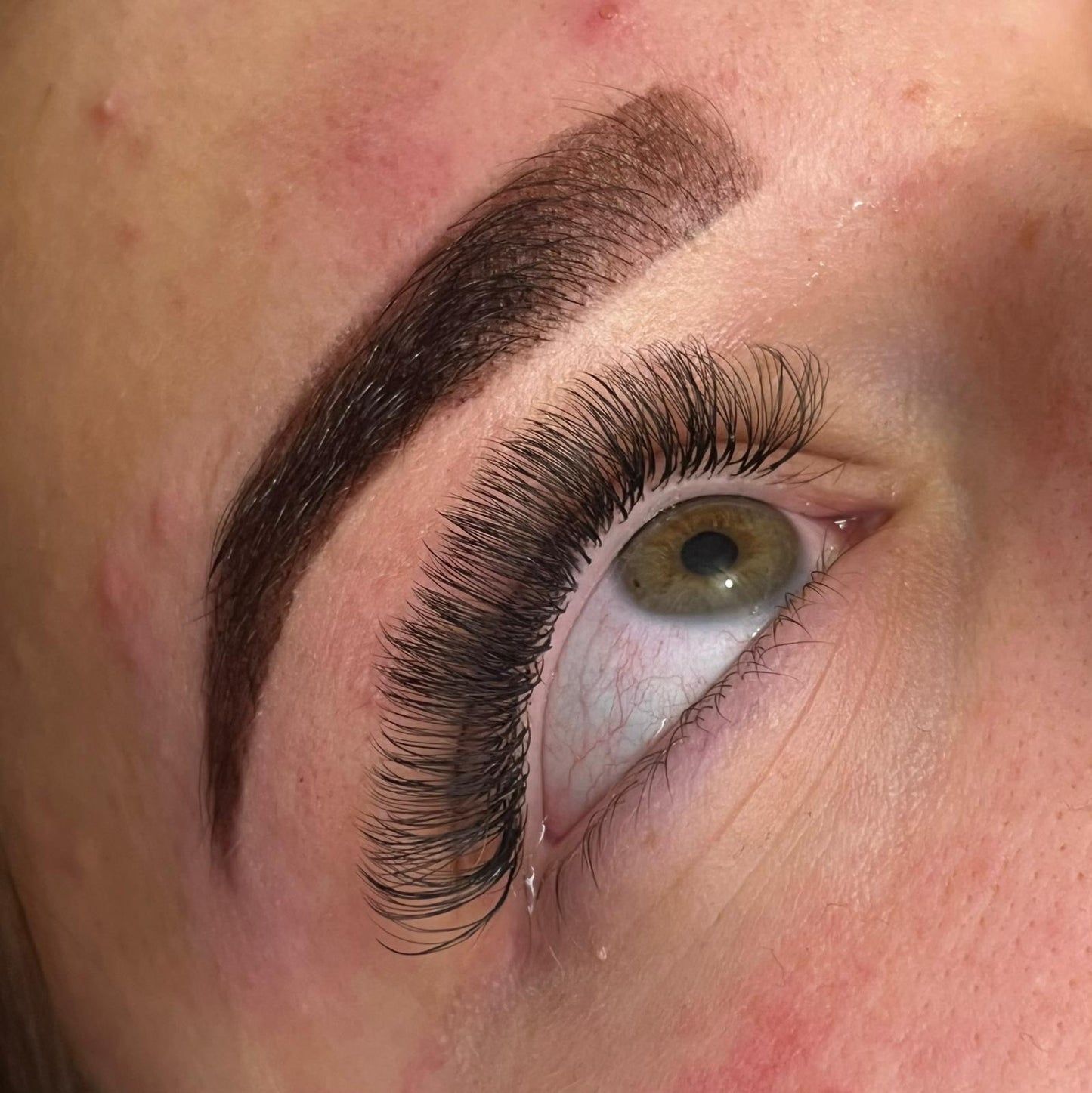 U Lashes Collection