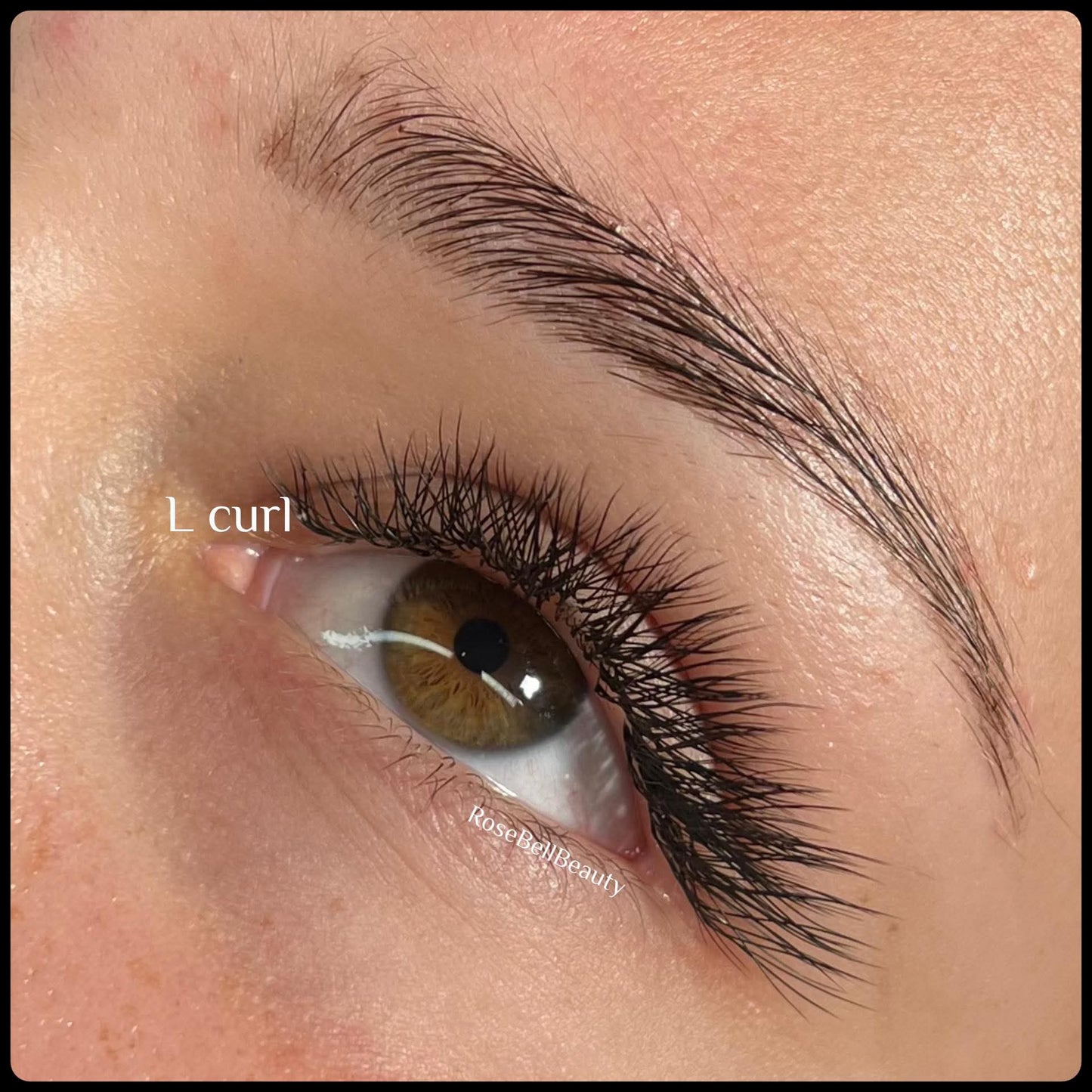 Flat L Curl