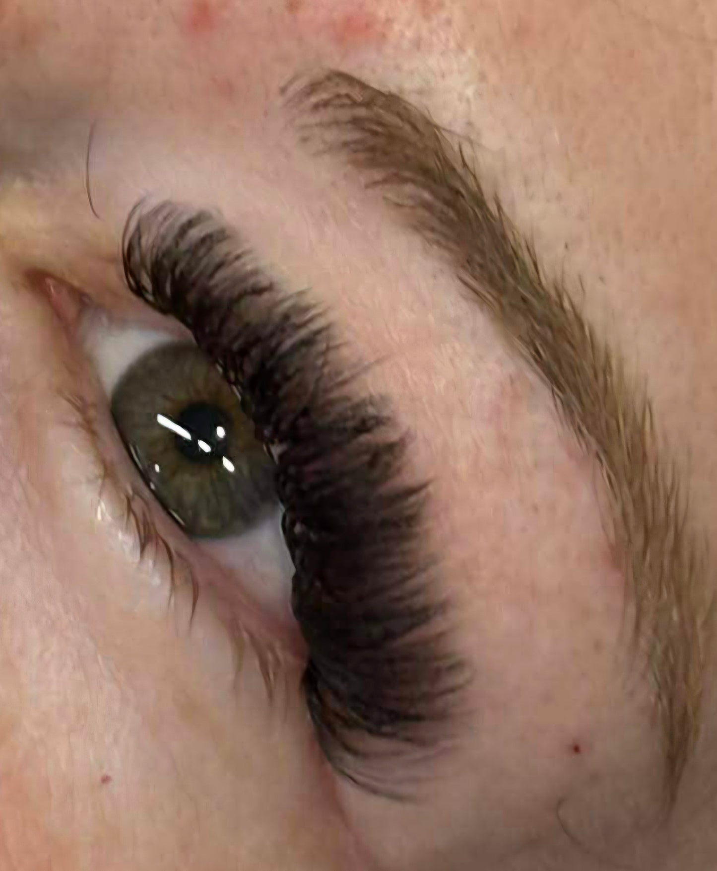 Sample Volume Lash Tray