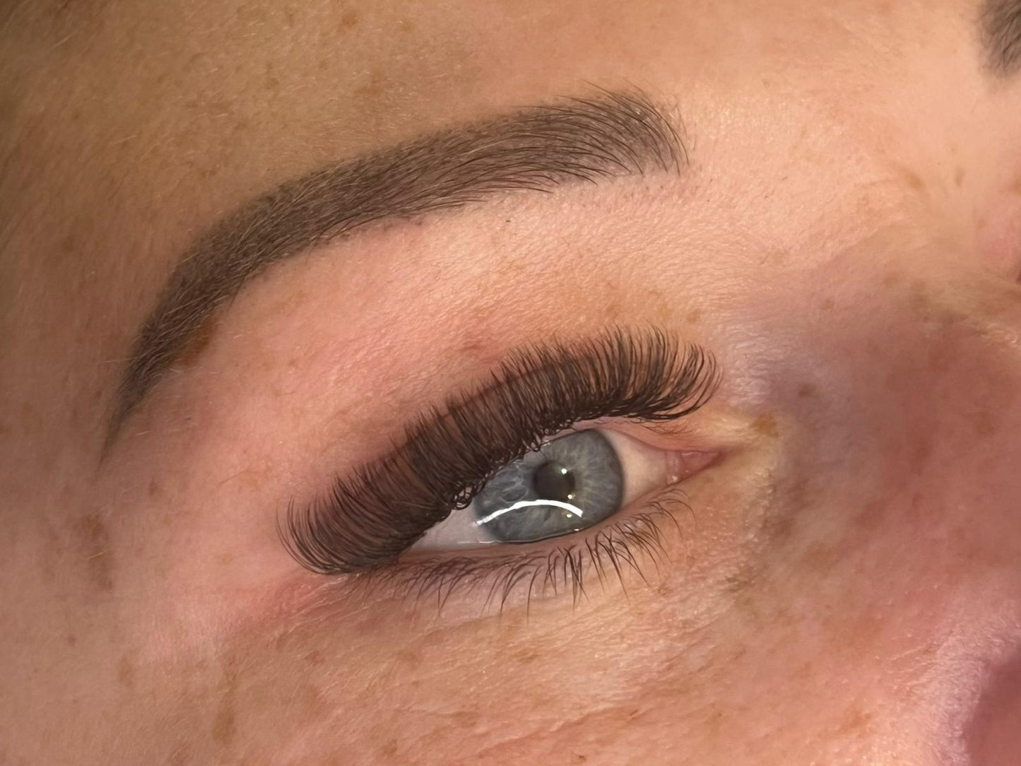 U Lashes Collection
