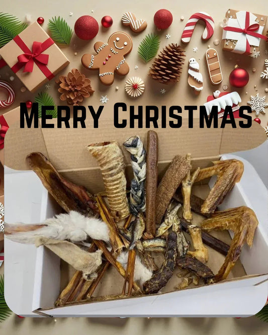 Christmas 20 Piece Bargain Box | 100% Natural Dog Treats Box