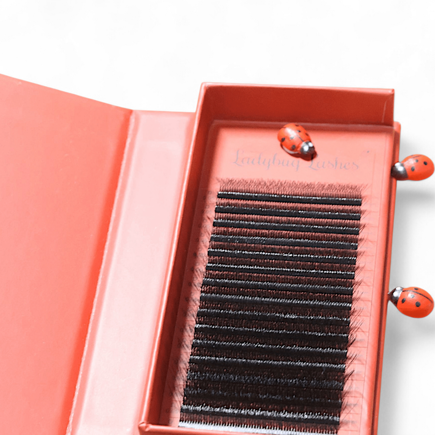 8D Clover Lash Mixed Tray (16 Rows)