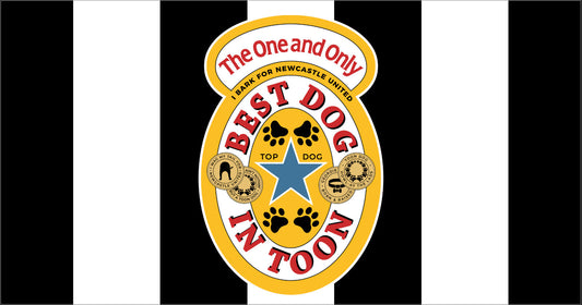 Newcastle NUFC Dog Feeding Bowl