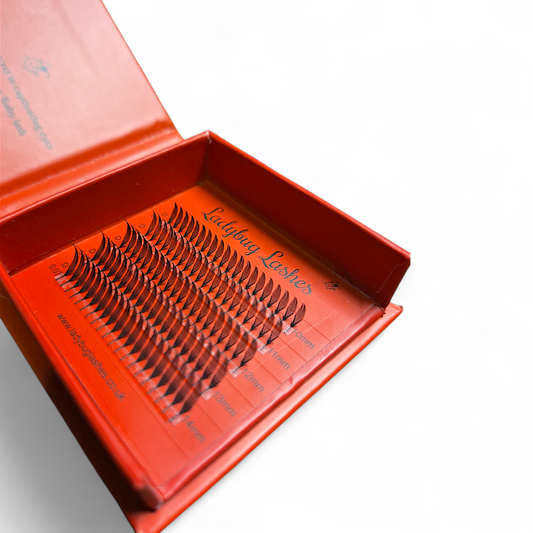 Sample Anime Feather Lash Tray