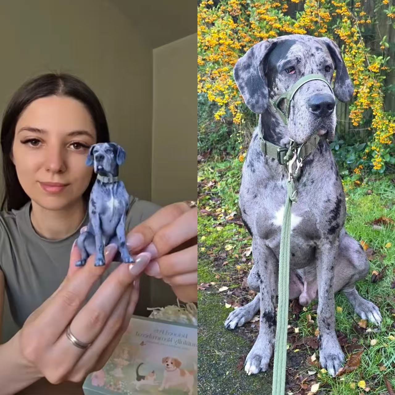 Custom Pet Sculpture Order | Handcrafted Dog & Cat Keepsake | Upload Your Photos