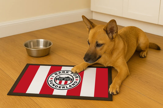 Sunderland SAFC Dog Feeding Bowl