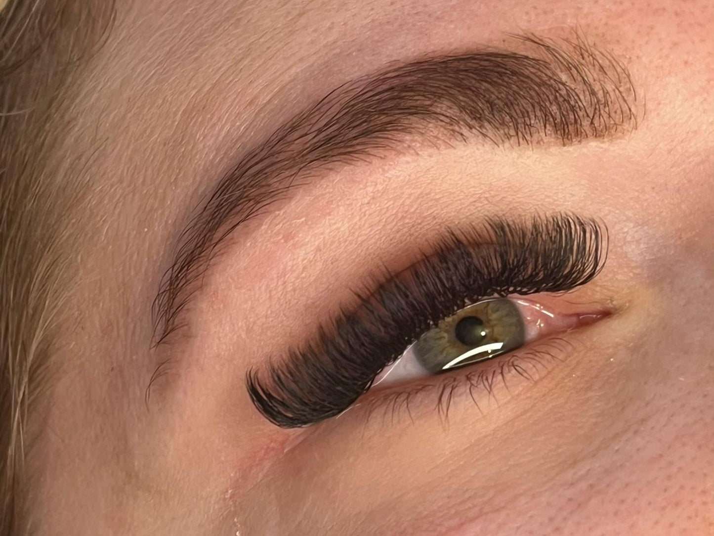 U Lashes Collection