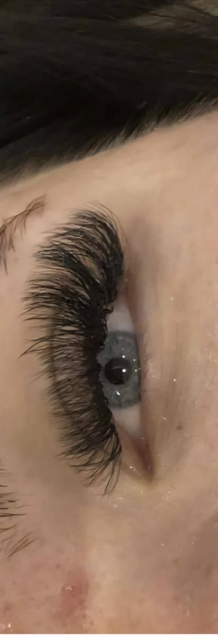 Sample 10D Clover Lash