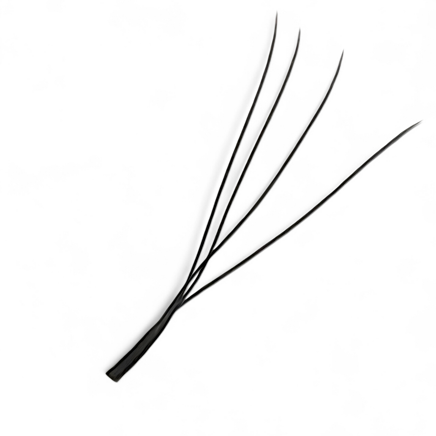 U Lashes Collection
