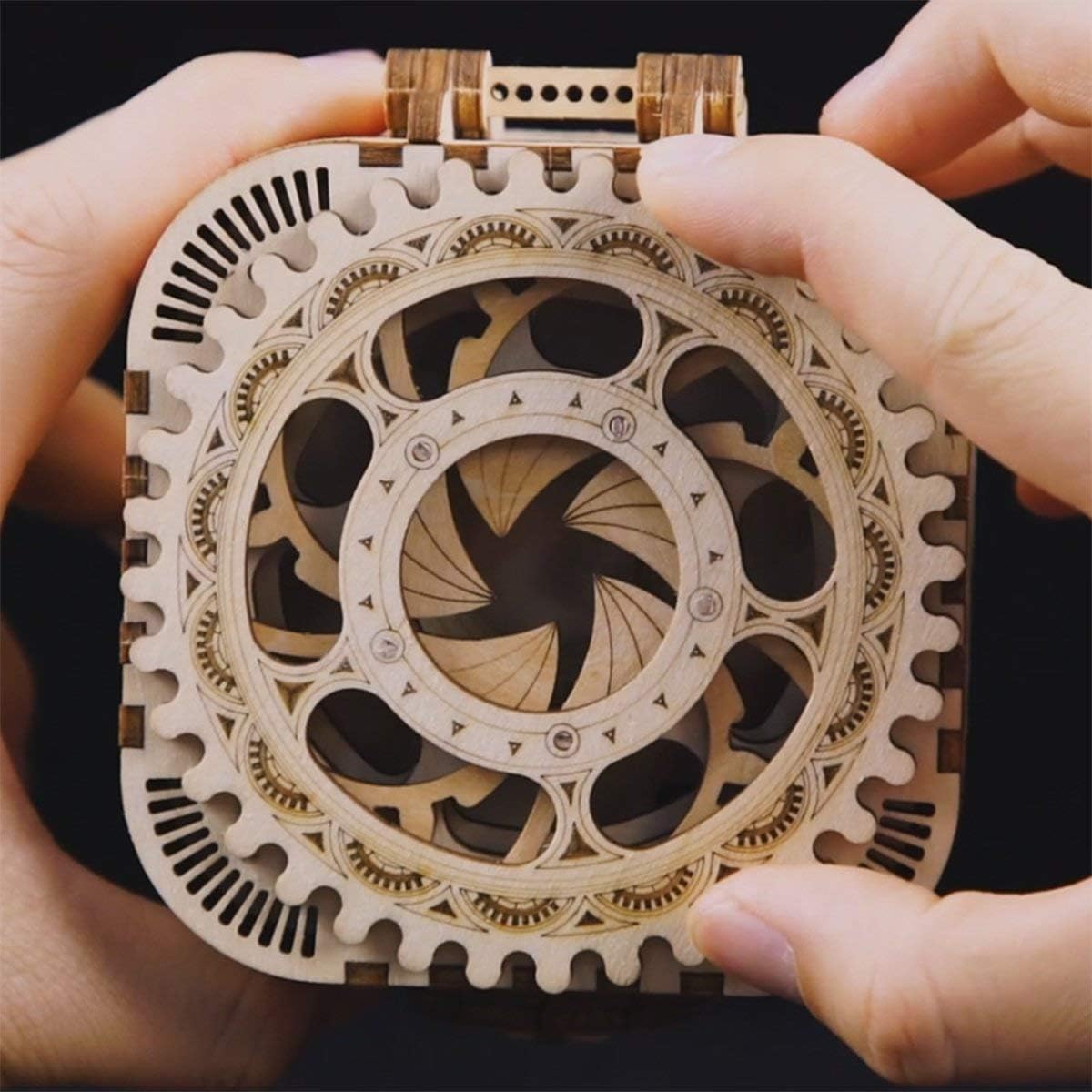 ROKR 3D Wooden Puzzle Mechanical Treasure Box | DIY Brain Teaser for Adults 14+