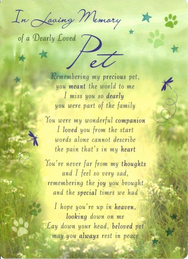 Loving Memory Graveside Memorial Card  of a dearly   loved  pet