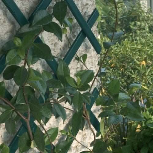Expanding Garden Trellis Wooden Plant Flower Support Screen Panel Wall Green 180 x 90cm