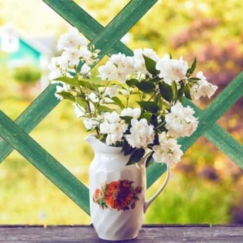 Expanding Garden Trellis Wooden Plant Flower Support Screen Panel Wall Green 180 x 60cm