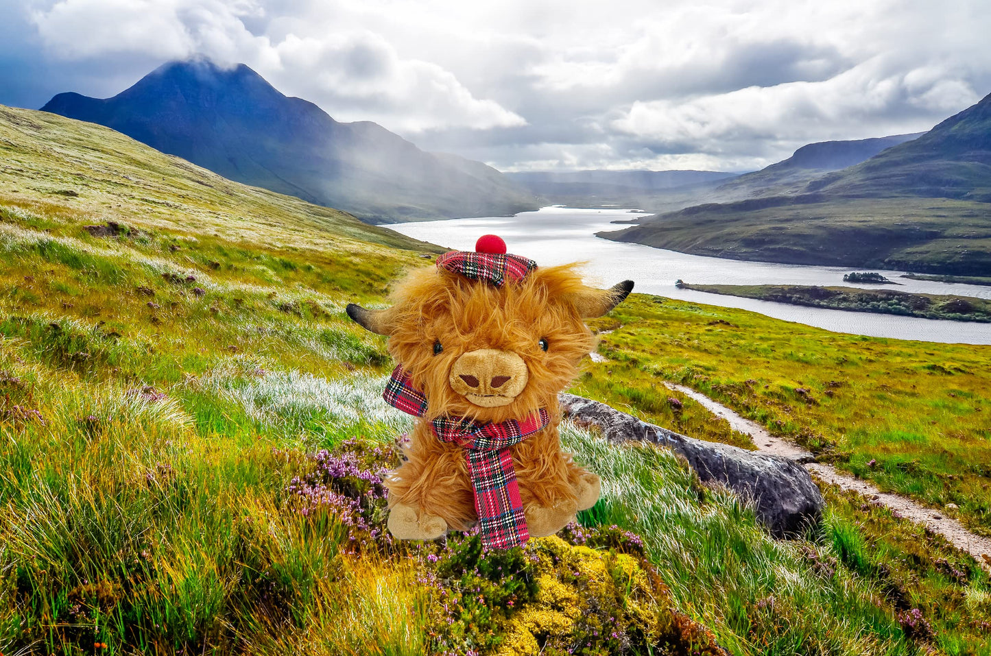 Wilbur Highland Cow Plush Toy – 10-Inch Brown Plushie with Tartan Hat & Scarf | SaBrissi
