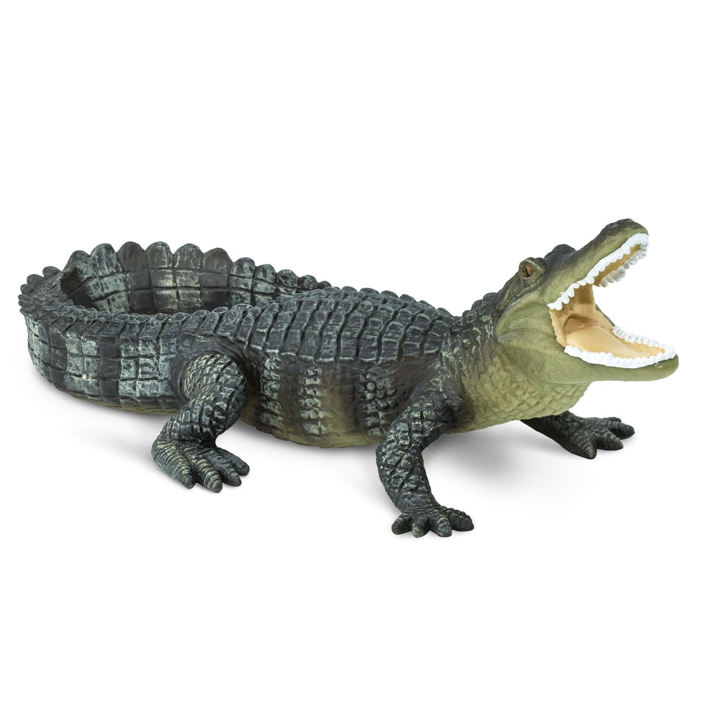 Safari Ltd. Alligator Figurine - 6-inch Lifelike Reptile Figure for Kids 3+