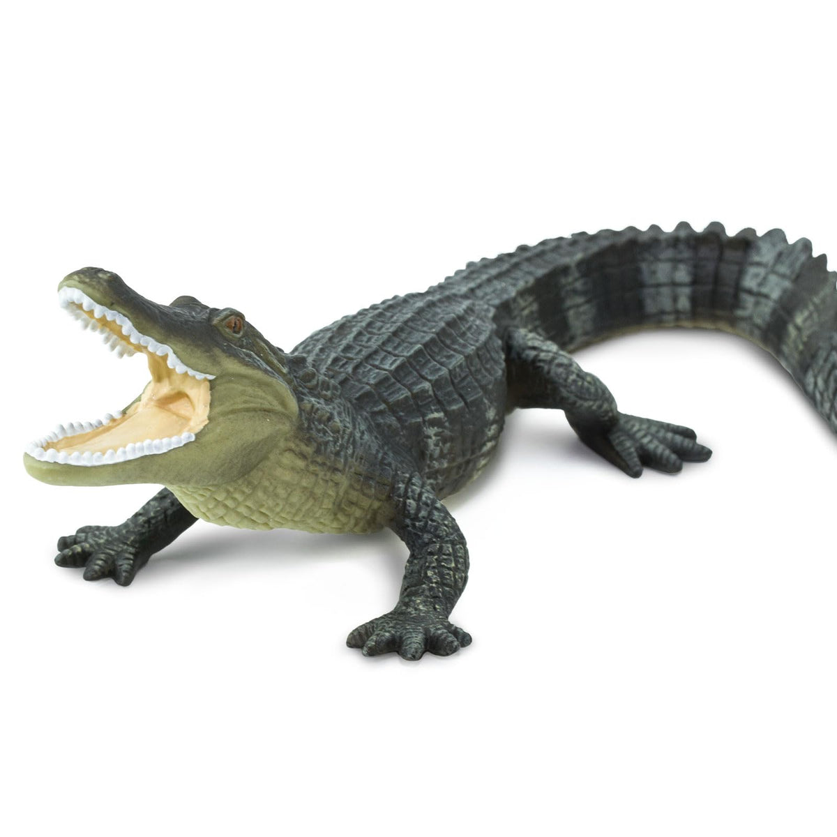 Safari Ltd. Alligator Figurine - 6-inch Lifelike Reptile Figure for Kids 3+