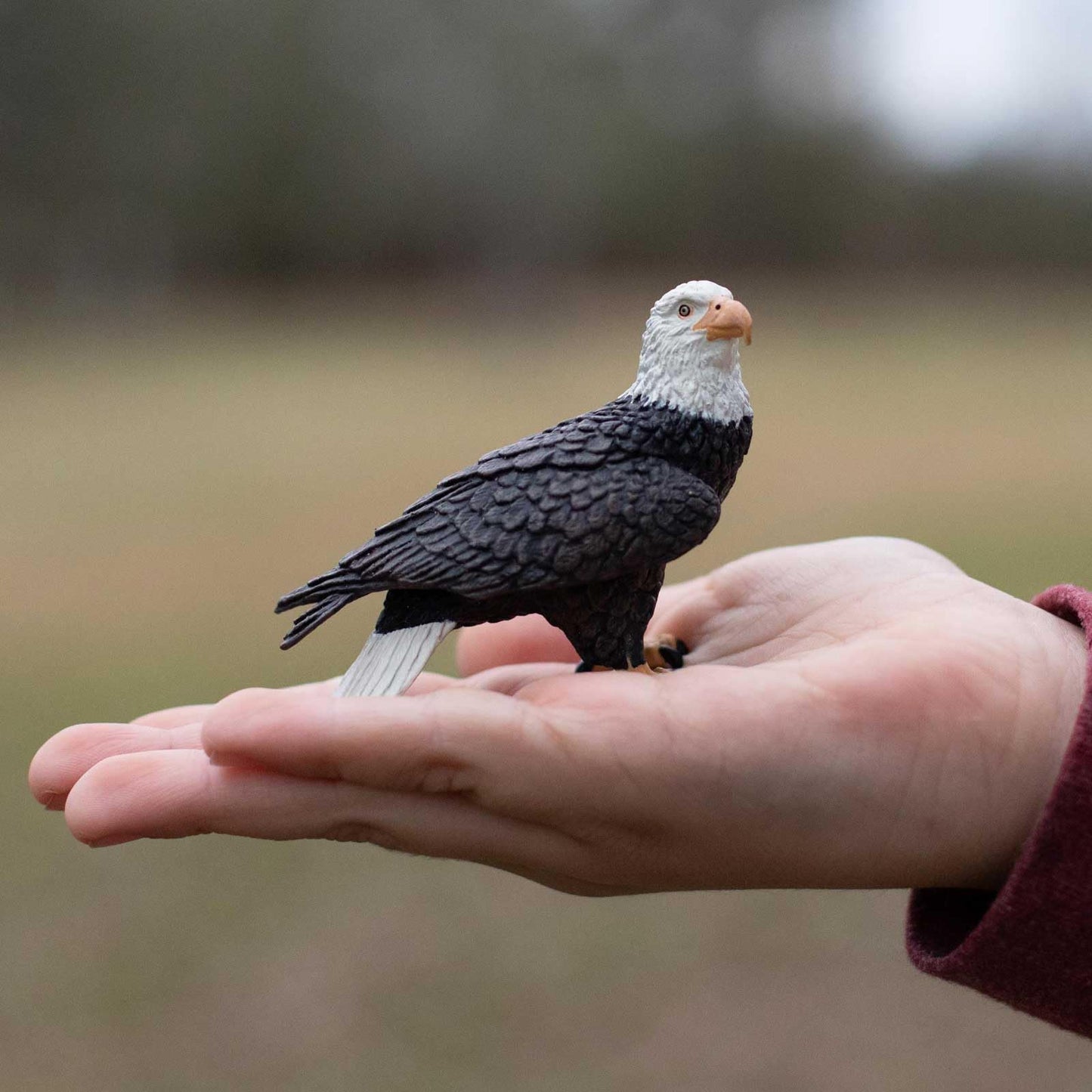 Safari Ltd Bald Eagle Figurine - Realistic 2.4-Inch Bird Figure for Kids 3+
